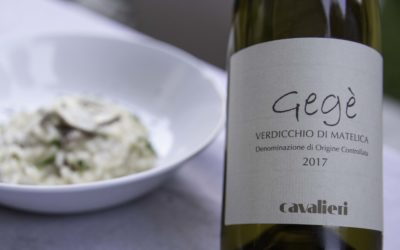 Verdicchio and Verdicchio