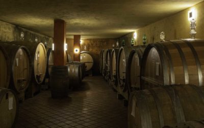The intrepid Piemontese winemaker